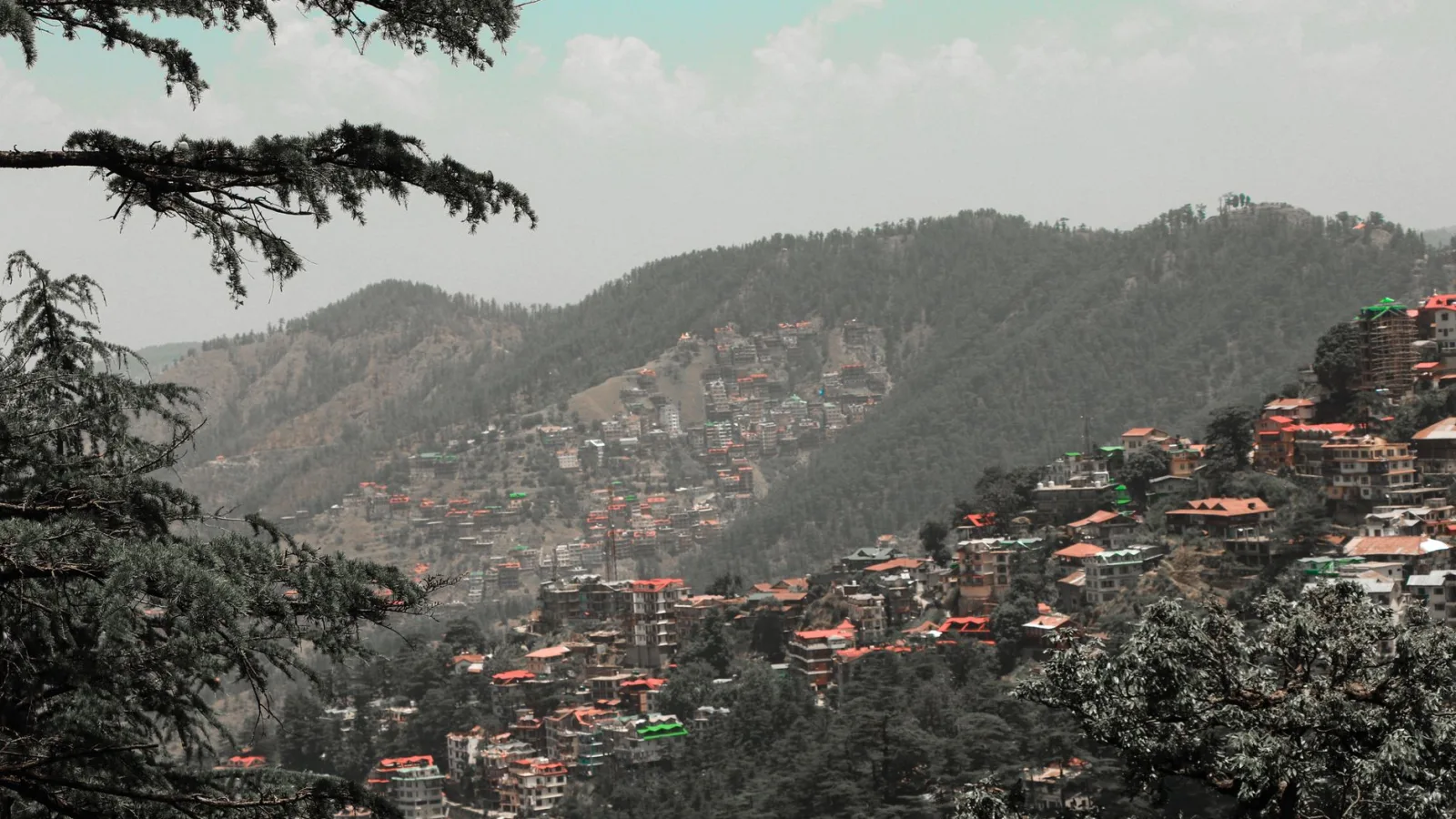 Shimla